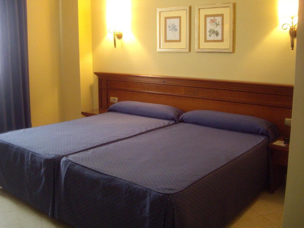 Hotel Manolo Mayo ロス・パラシオス・イ・ビジャフランカ 部屋 写真